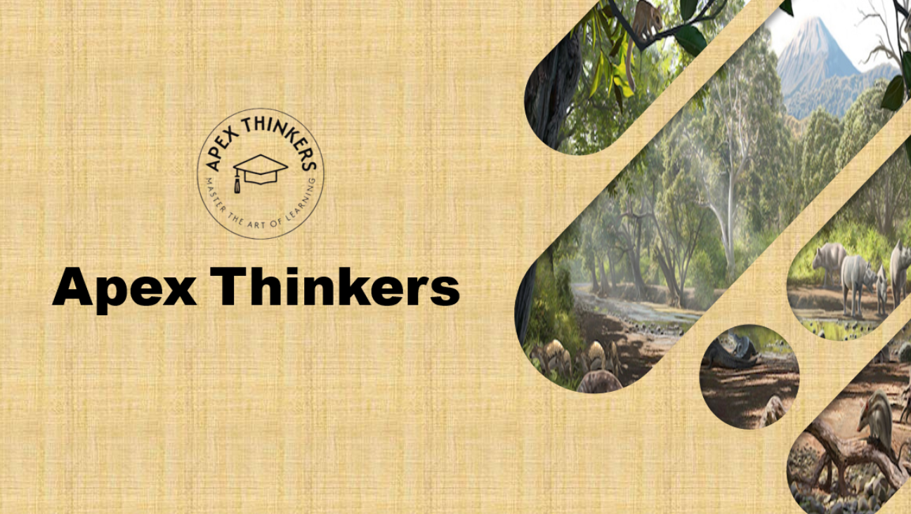 Apex Thinkers presentation preview